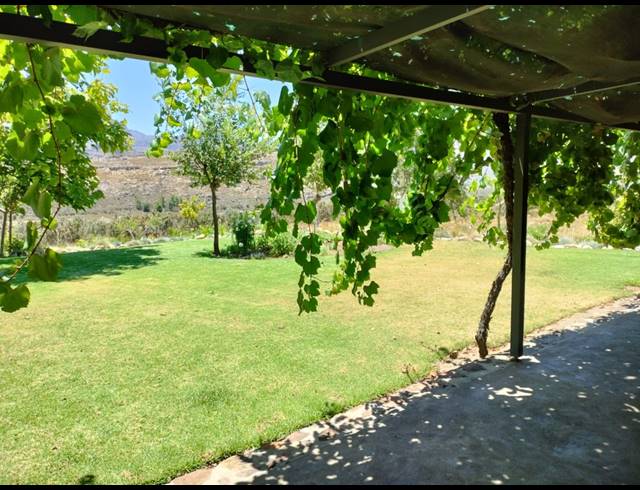 86HA FARM FOR SALE IN CERES RURAL